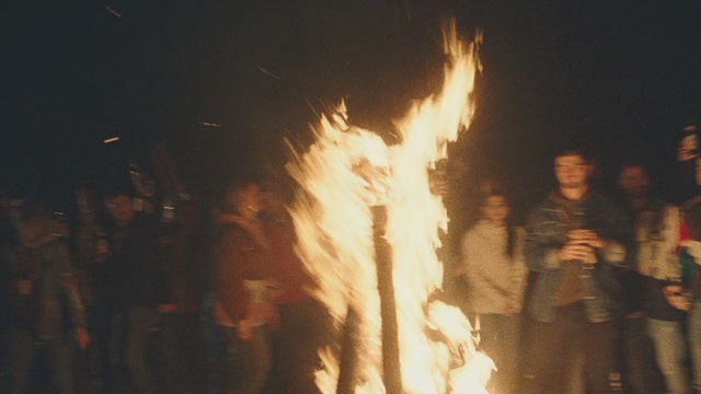 Video Reference: Fire, Heat, Bonfire, Flame, Campfire, Event, Night, Crowd, Person