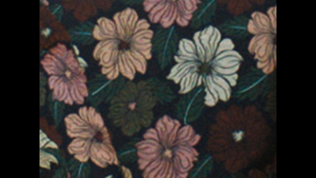 Video Reference: flower, flora, textile, pattern, design, still life, Person