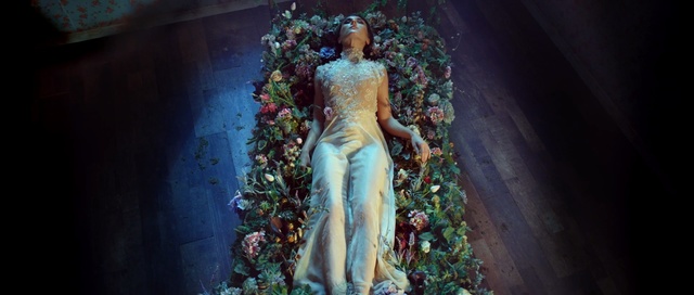 Video Reference: dress, flower, art, darkness, Person