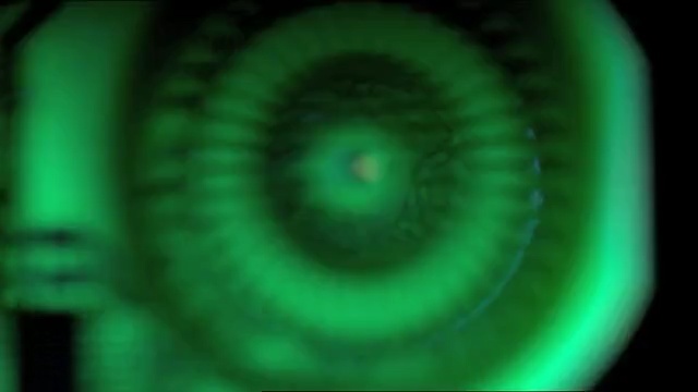 Video Reference: green, close up, eye, macro photography, organism, organ, iris, fractal art, circle, computer wallpaper, Person