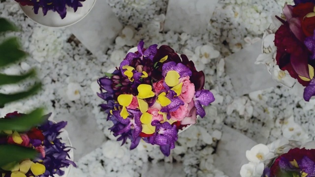 Video Reference: flower, flowering plant, purple, violet, flora, plant, spring, floristry, flower arranging, petal