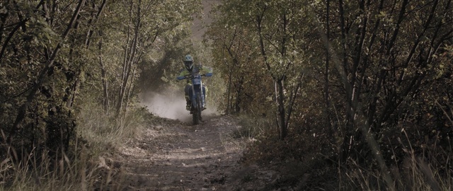 Video Reference: woodland, forest, path, freeride, tree, trail, geological phenomenon, soil, terrain, jungle