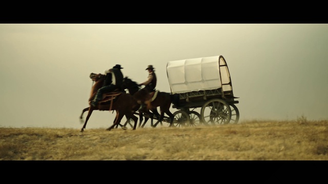 Video Reference: Horse, Horse harness, Wagon, Vehicle, Pack animal, Horse and buggy, Mode of transport, Cart, Carriage, Chariot