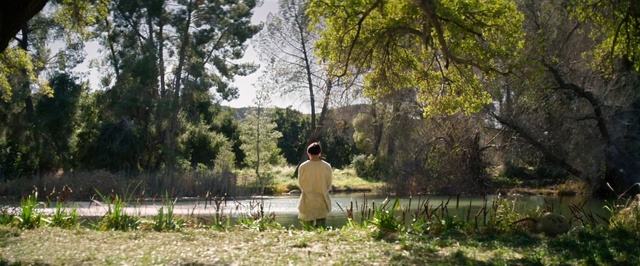 Video Reference: Nature, Photograph, Tree, Natural environment, Grass, Woodland, Forest, Botany, Grass family, Woody plant