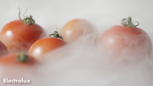 Video Reference: Tomato, Solanum, Food, Vegetable, Still life photography, Fruit, Vegetarian food, Plant, Still life, Plum tomato