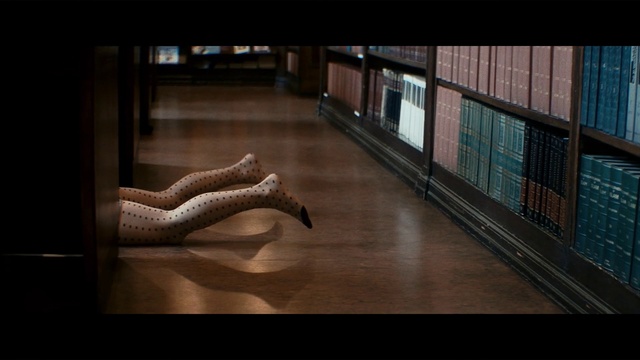 Video Reference: Leg, Floor, Footwear, Flooring, Screenshot, Photography, Hardwood, Room, Wood, Flesh, Indoor, Table, Wooden, Window, Building, Sitting, Small, Dog, Library, Glass, Standing, Brown, Large, Living, Bench, Kitchen, Man, White, Reptile
