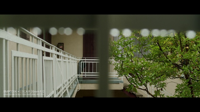 Video Reference: Architecture, Property, House, Tree, Room, Building, Home, Real estate, Plant, Photography