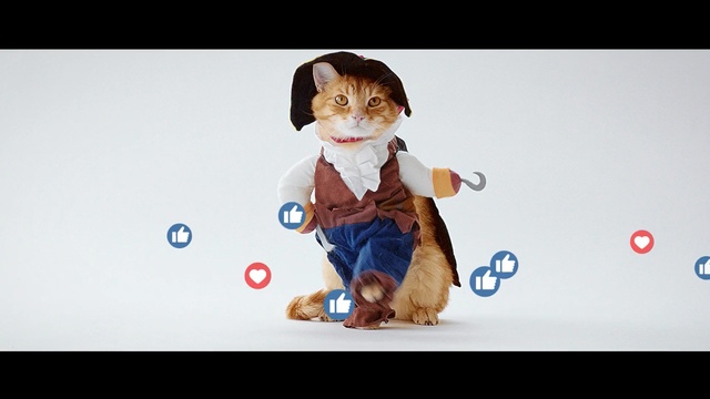 Video Reference: Toy, Animation, Canidae, Doll, Child, Figurine, Puppy, Sitting, Carnivore, Fur, Person