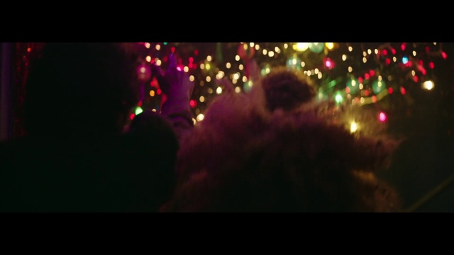 Video Reference: Light, Lighting, Darkness, Fête, Christmas lights, Event, Christmas, Tree, Holiday, Night