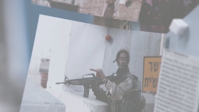 Video Reference: rifle, firearm, gun, snow, winter, Person