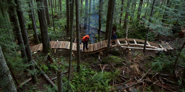 Video Reference: Old-growth forest, Forest, Natural environment, Wilderness, Nature reserve, Tree, Northern hardwood forest, Jungle, Valdivian temperate rain forest, Biome