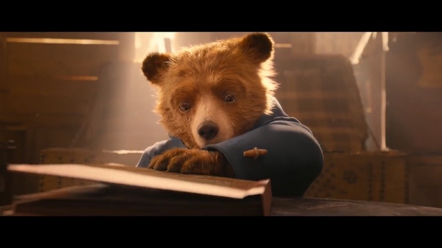 Video Reference: mammal, fauna, snout, wildlife, whiskers, computer wallpaper, fur