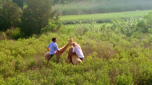 Video Reference: grassland, ecosystem, nature reserve, grass, prairie, meadow, pasture, field, agriculture, path