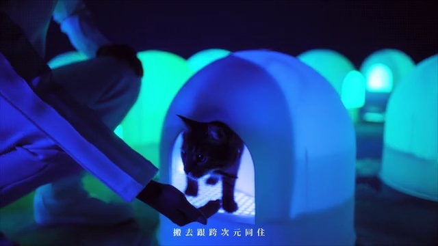 Video Reference: blue, light, purple, cobalt blue, lighting, electric blue, neon, darkness, computer wallpaper, ice