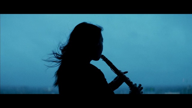 Video Reference: Blue, Musical instrument, Backlighting, Silhouette, Music, Sky, Photography, Musician, Woodwind instrument, Wind instrument