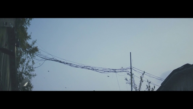 Video Reference: Sky, Overhead power line, Atmospheric phenomenon, Branch, Tree, Wire, Electricity, Atmosphere, Line, Cloud