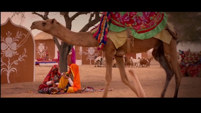 Video Reference: Camel, Camelid, Mammal, Arabian camel, Natural environment, Mode of transport, Adaptation, Landscape, Livestock, Fun