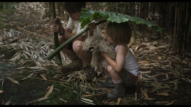 Video Reference: Jungle, Adaptation, Forest, Plant, Woodland, Camouflage, Soldier