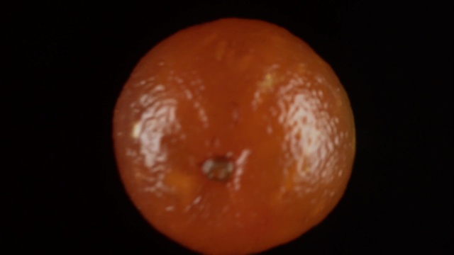 Video Reference: mandarin, citrus, fruit, edible fruit, tangerine, orange, vitamin, juicy, healthy, juice, ripe, sweet, fresh, diet, food