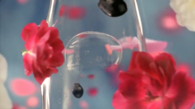 Video Reference: flower, petal, flora, close up, blossom, floristry, macro photography, floral design, computer wallpaper