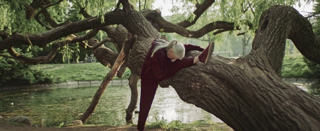 Video Reference: Tree, Branch, Woody plant, Plant, Trunk, Organism, Adaptation, Wildlife