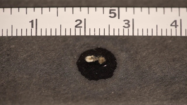 Video Reference: Text, Font, Button