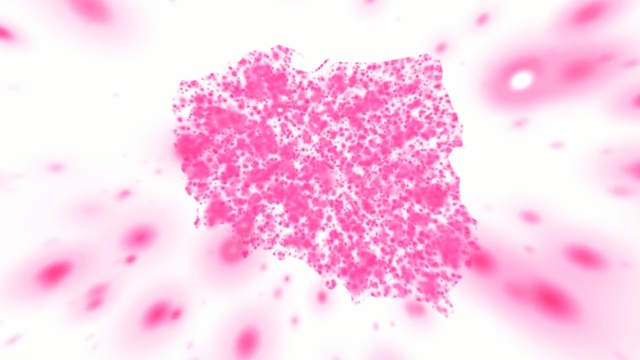 Video Reference: Pink, Magenta, Heart, Glitter, Pattern, Macro photography, Petal