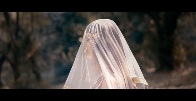 Video Reference: dress, bridal accessory, veil, bride, bridal veil, girl, gown, bridal clothing, ceremony