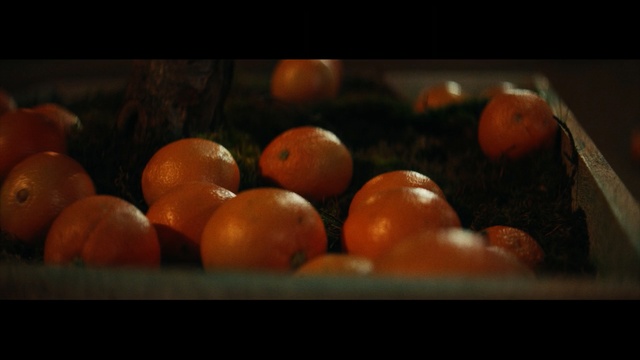 Video Reference: Still life photography, Still life, Fruit, Orange, Clementine, Food, Vegetarian food, Orange, Local food, Plant