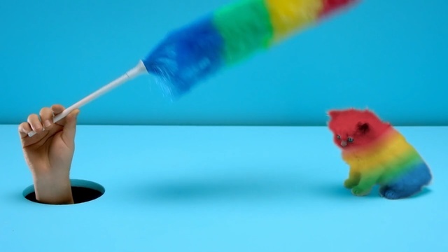 Video Reference: Play, Colorfulness, Plastic, Hamster