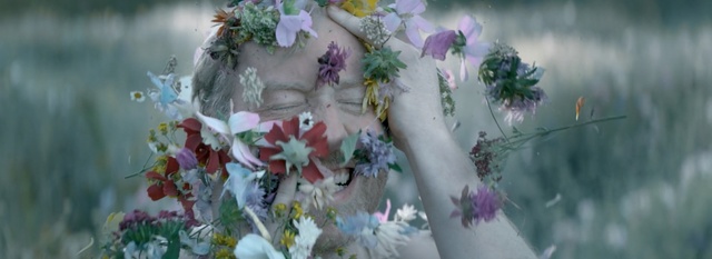 Video Reference: flower, plant, flora, flowering plant, purple, spring, branch, wildflower, flower arranging, petal