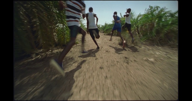 Video Reference: Sand, Fun, Trail, Tree, Recreation, Landscape, Photography, Mud, Leisure, Soil