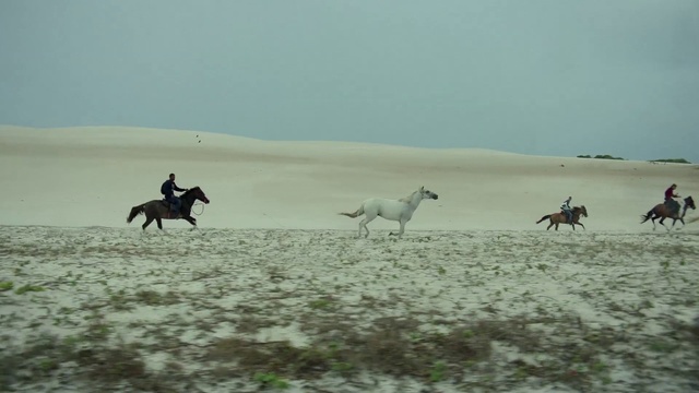 Video Reference: Horse, Ecoregion, Atmospheric phenomenon, Steppe, Mustang horse, Landscape, Herd, Plain, Grassland, Trail riding