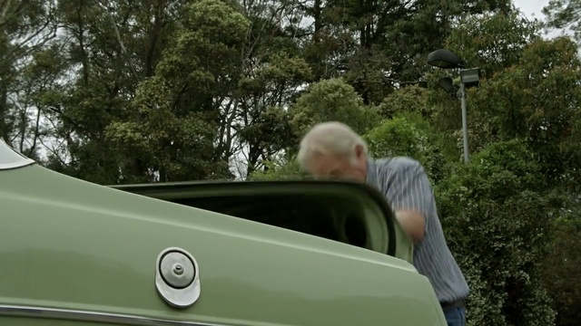 Video Reference: Vehicle, Motor vehicle, Car, Automotive exterior, Vehicle door, Tree, Mid-size car, Automotive window part, Auto part