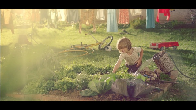 Video Reference: nature, green, grass, leaf, screenshot, morning, sunlight, plant, tree, landscape