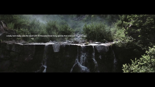 Video Reference: Nature, Water, Black, Natural landscape, Water resources, Vegetation, Watercourse, Natural environment, Tree, Sky