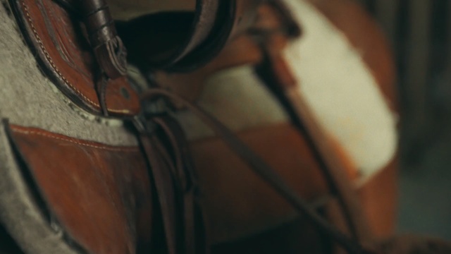 Video Reference: string instrument, musical instrument, string instrument, wood, horse tack, bowed string instrument, violin family, cello, shoe