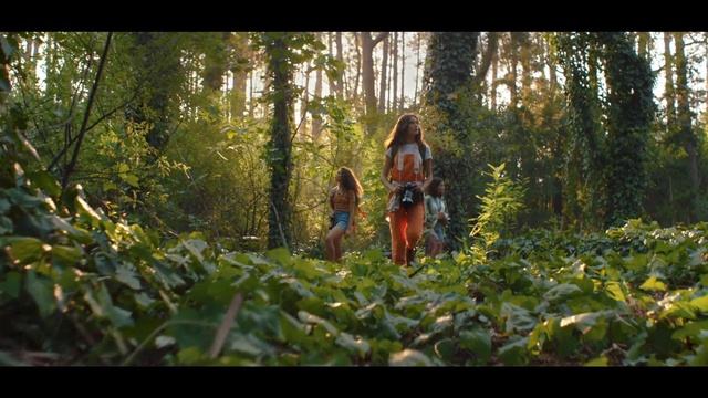 Video Reference: People in nature, Nature, Natural environment, Forest, Jungle, Woodland, Tree, Natural landscape, Wilderness, Old-growth forest