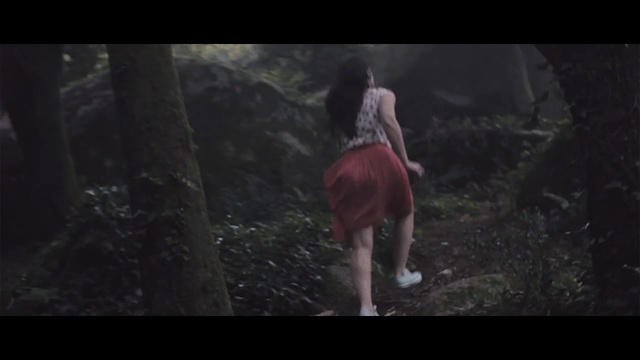 Video Reference: Nature, Darkness, Natural environment, Fiction, Photography, Tree, Organism, Human, Atmosphere, Forest