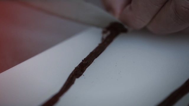 Video Reference: Hand, Finger