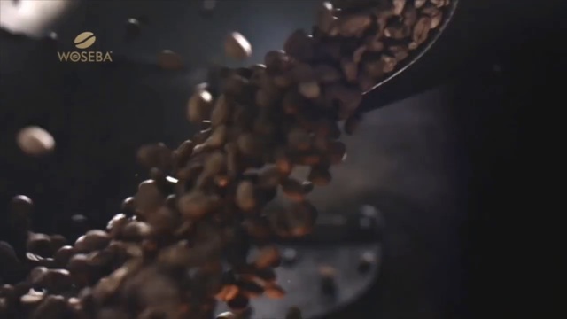 Video Reference: Brown, Macro photography, Organism, Photography, Recipe, Food, Bean