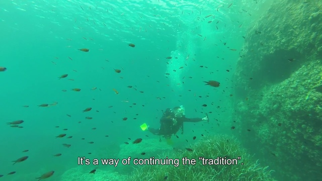 Video Reference: Green, Underwater, Marine biology, Organism, Water, Turquoise, Sea