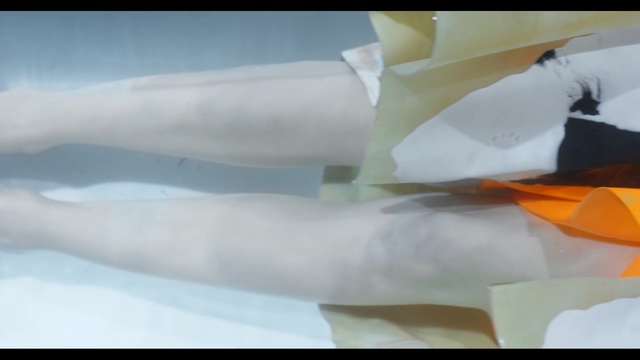 Video Reference: white, joint, arm, leg, hand, finger, sky, neck, petal, computer wallpaper