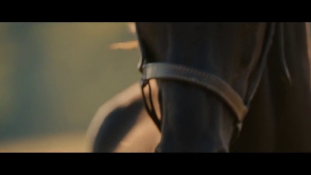 Video Reference: Leather, Footwear, High heels, Bridle, Shoe, Textile, Eyewear, Close-up, Horse tack, Personal protective equipment