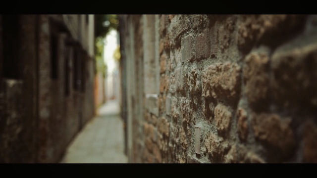 Video Reference: wall, tree, wood, sunlight