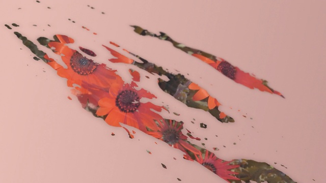 Video Reference: red, close up, art, painting