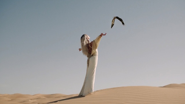 Video Reference: Desert, Natural environment, Sand, Aeolian landform, Landscape, Tree, Dune, Plant