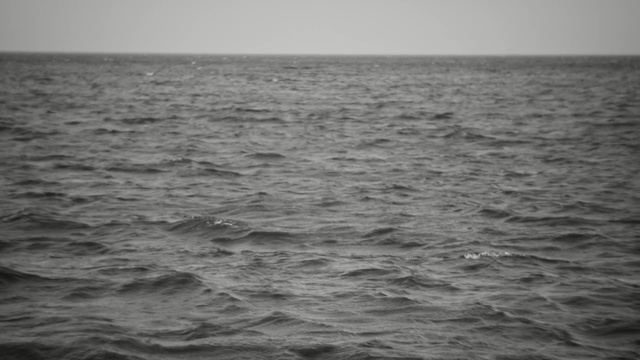 Video Reference: sea, horizon, ocean, water, black and white, wave, wind wave, sky, calm, monochrome photography