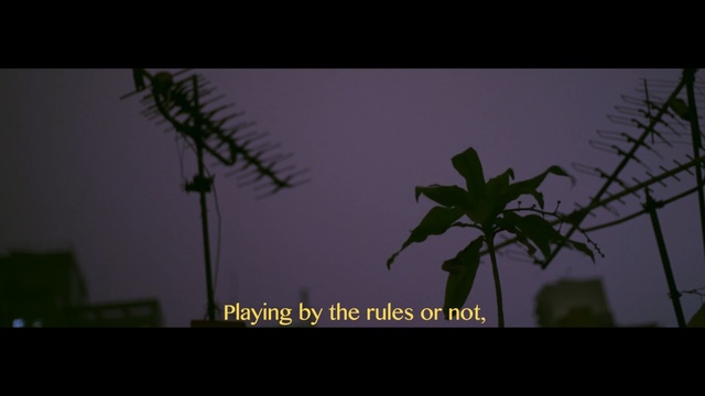 Video Reference: green, sky, leaf, darkness, atmosphere, night, tree, screenshot, midnight, branch