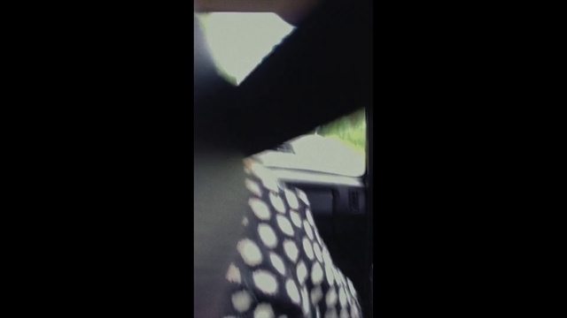 Video Reference: Black, Photograph, Light, Leaf, Snapshot, Darkness, Photography, Daylighting, Design, Window